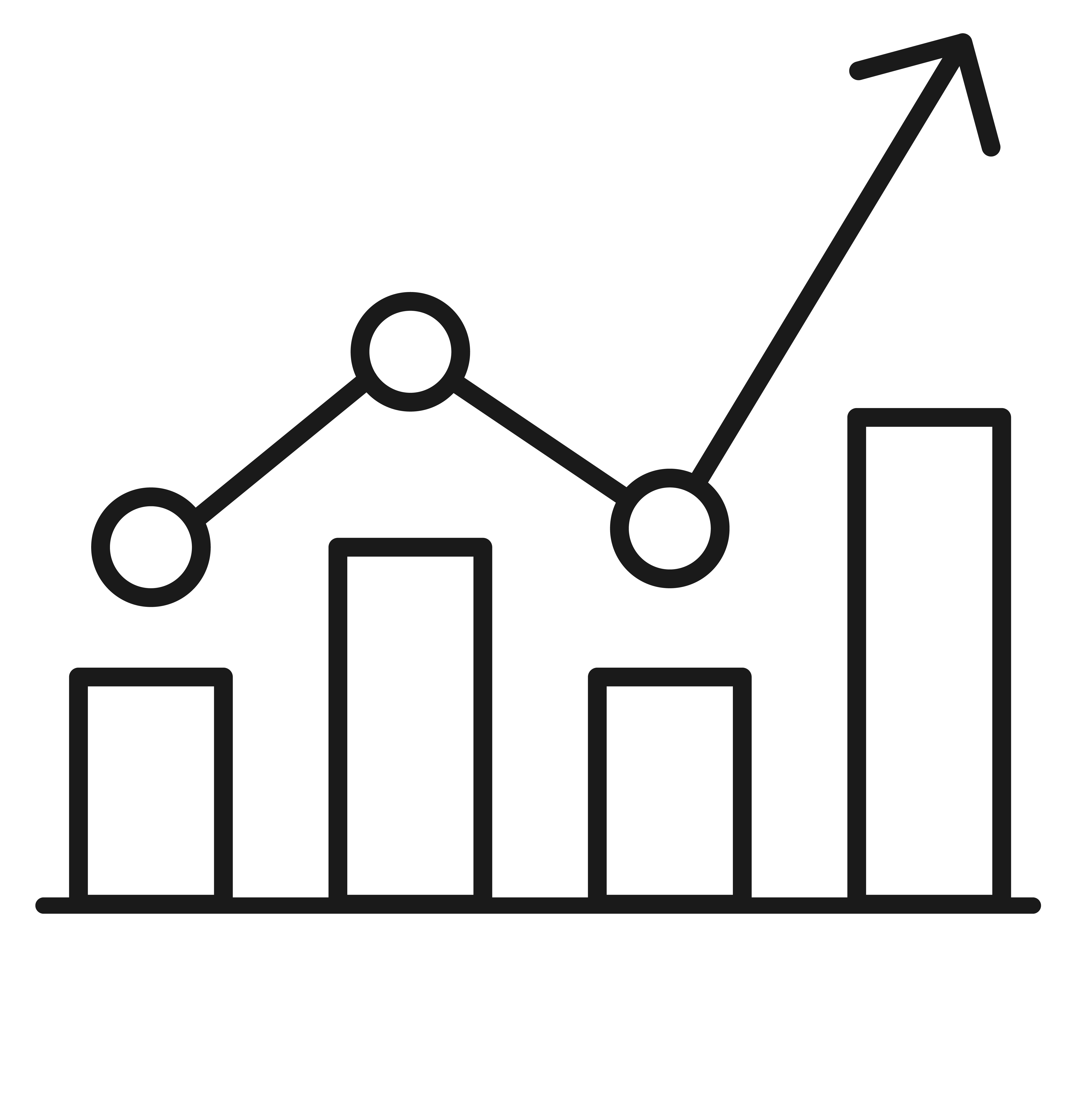 Maximizing-Profits